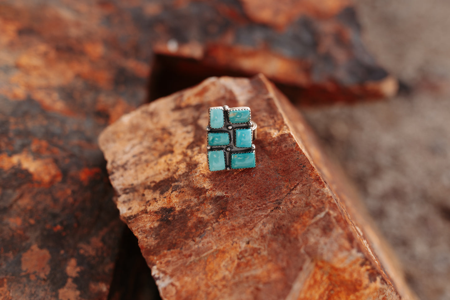 The Silver Sage Ring