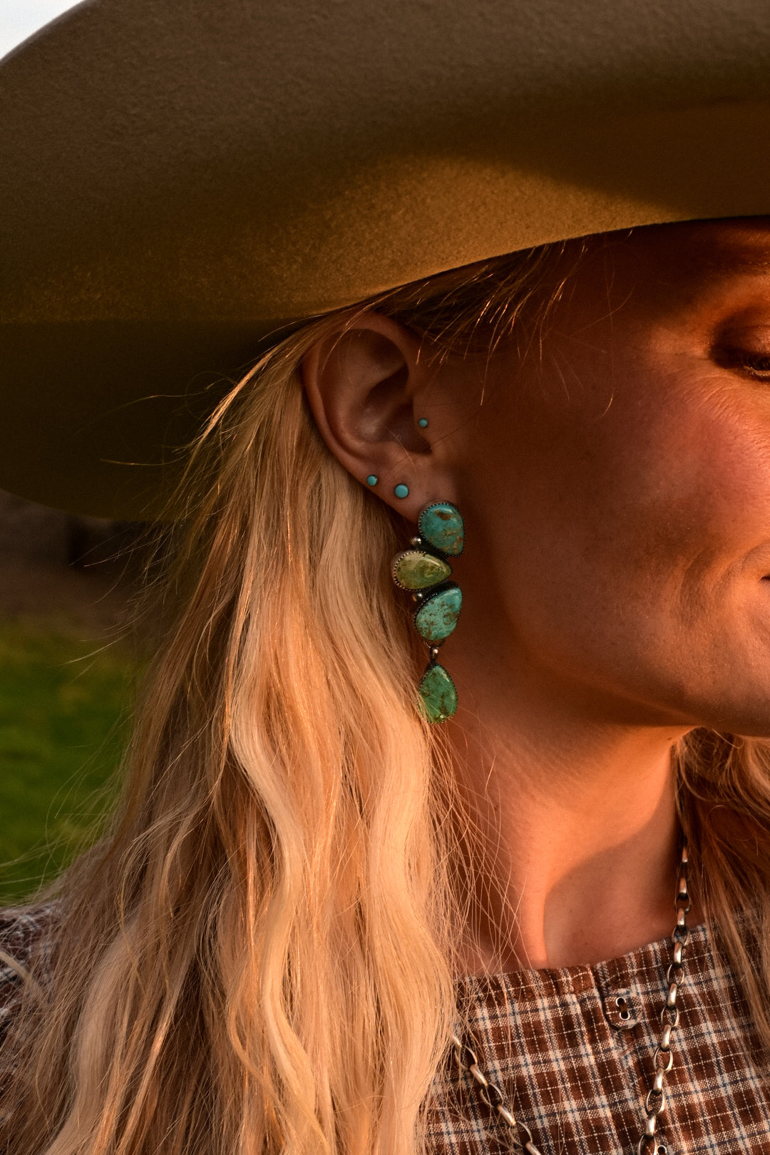 The Emmylou Harris