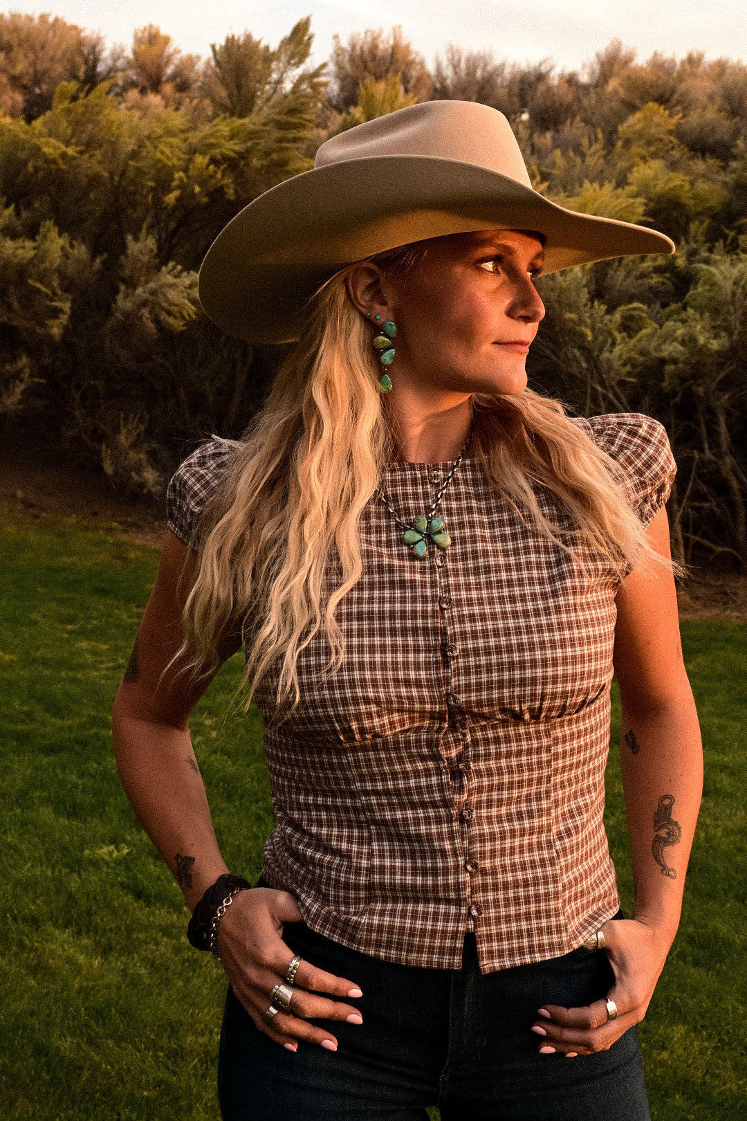 The Emmylou Harris