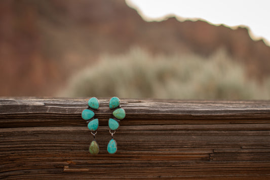 The Roundup Earrings